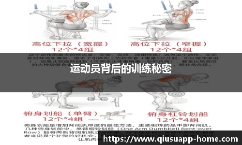 球速体育